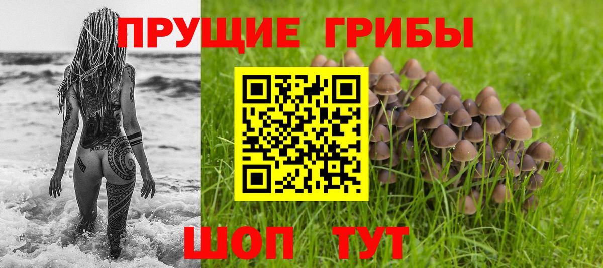 Галлюциногенные грибы прущие грибы Валуйки